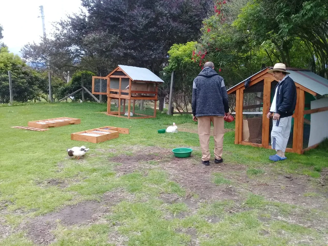 Actividad de contacto con naturaleza y animales.